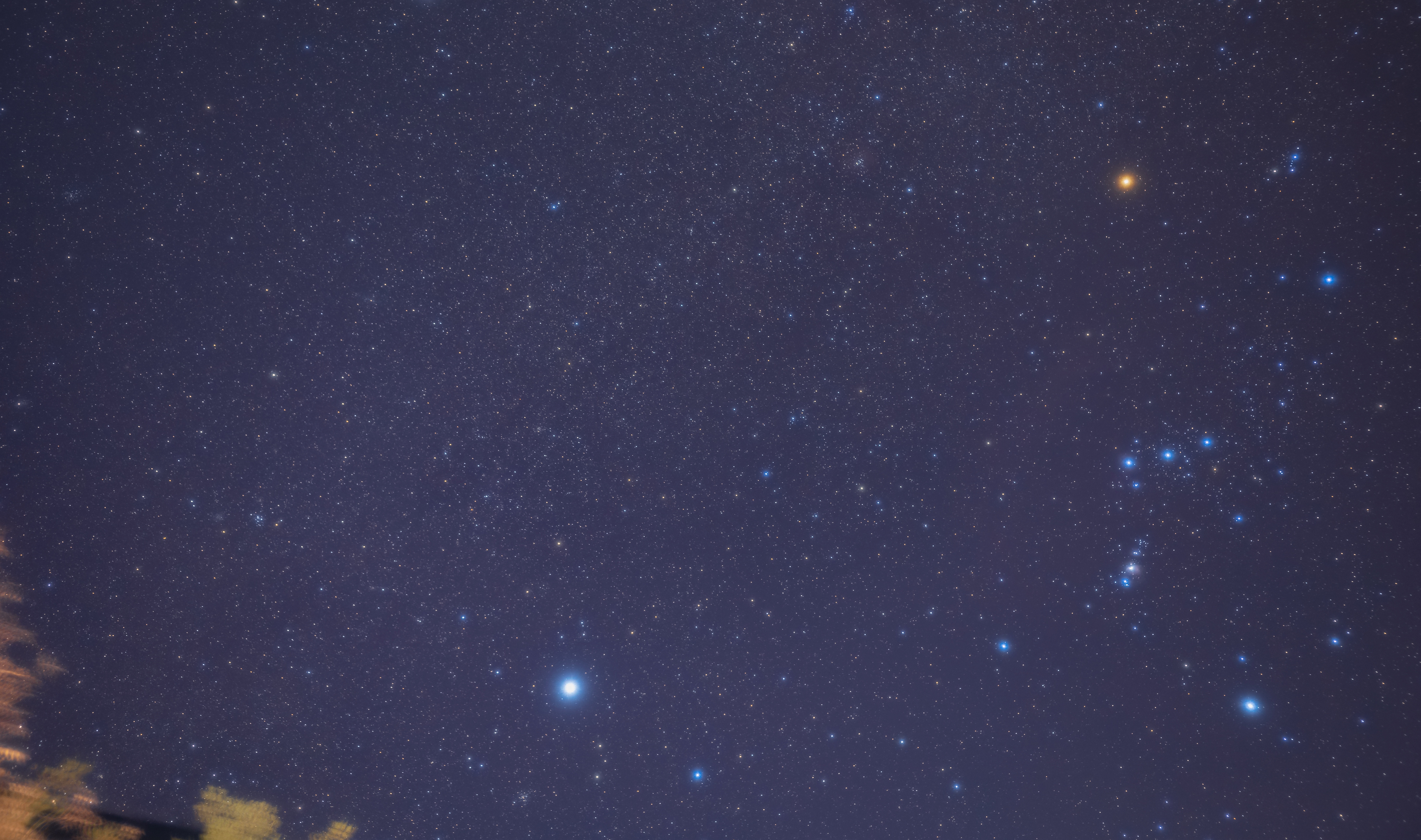 L'étoile Bételgeuse apparaît rouge-orange à l'œil nu. Elle l'une des étoiles les plus brillante&nbsp;d'Orion. © Sepe44, Adobe Stock