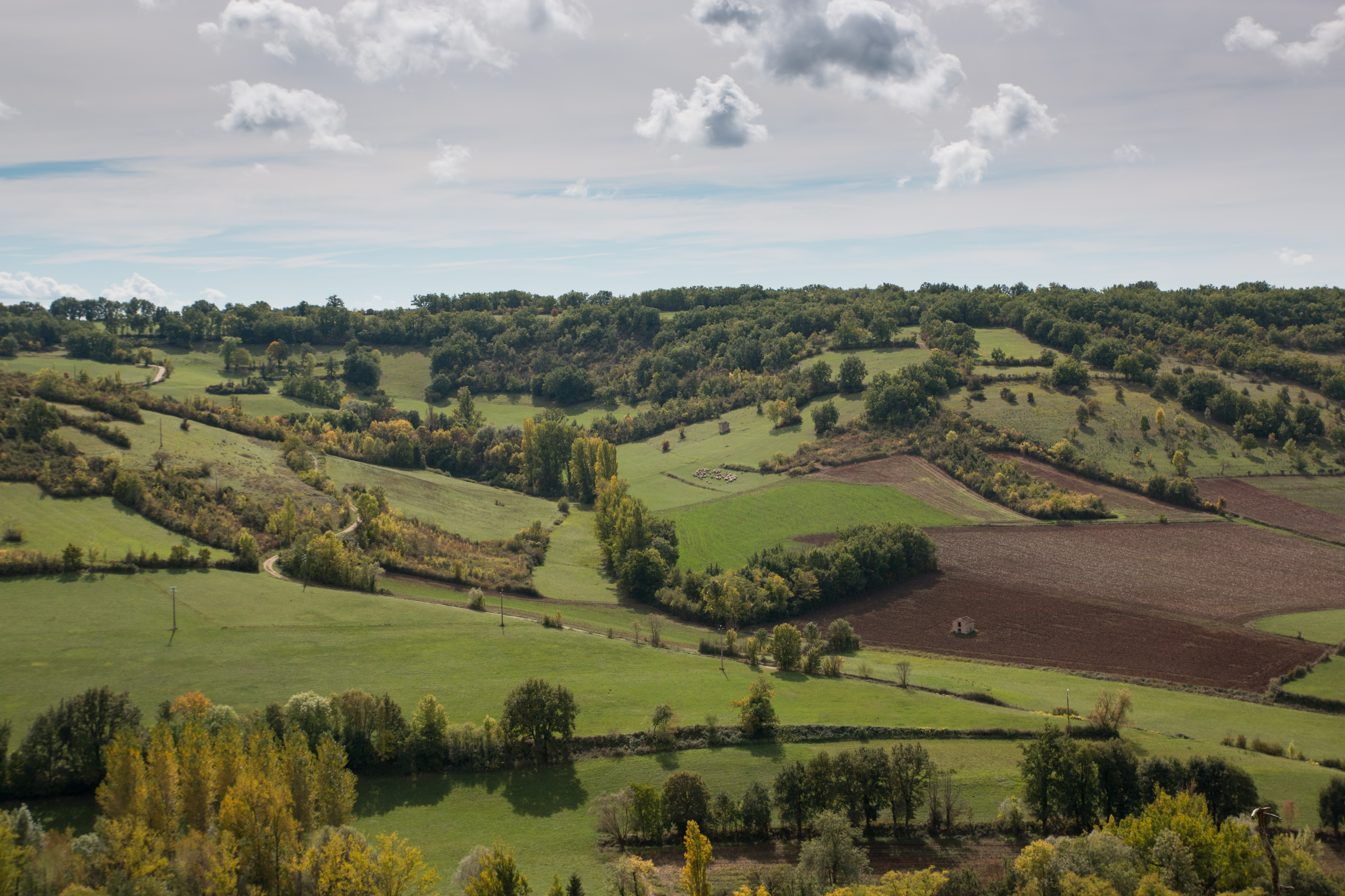 L'agroécologie, un modèle agricole qui vise à préserver les ressources naturelles. © B. Piccoli, Adobe Stock