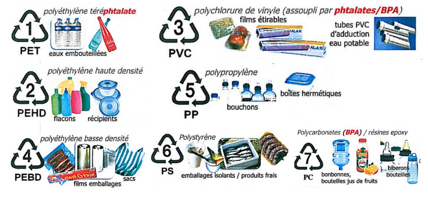 Image du site Futura Sciences