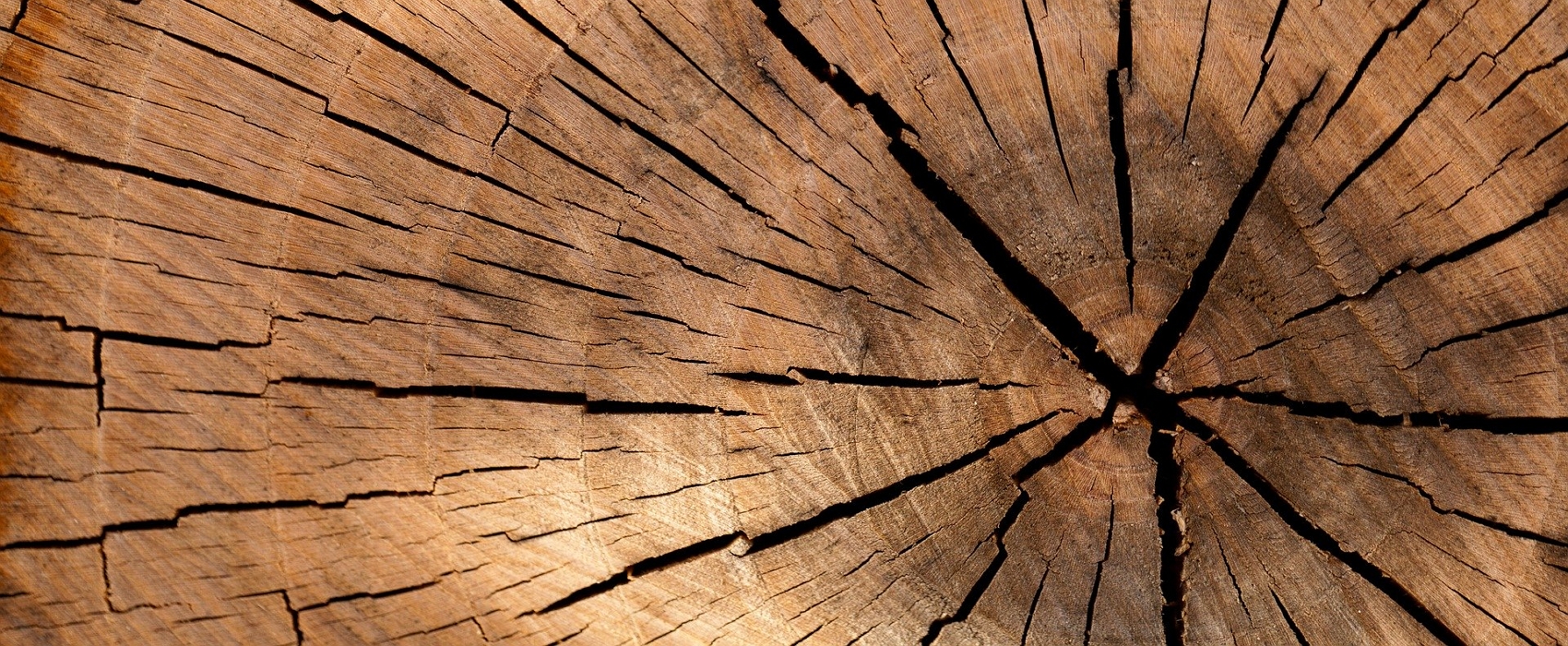 Les bois exotiques sont naturellement plus résistants à l’humidité © Daniel Spase, pxhere.com