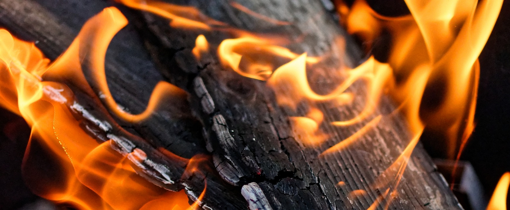 Les cendres de bois constituent un allié naturel au jardinier. © Alexas_fotos, Pixabay