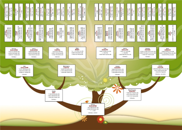 Arbre généalogique quels sont les meilleurs logiciels