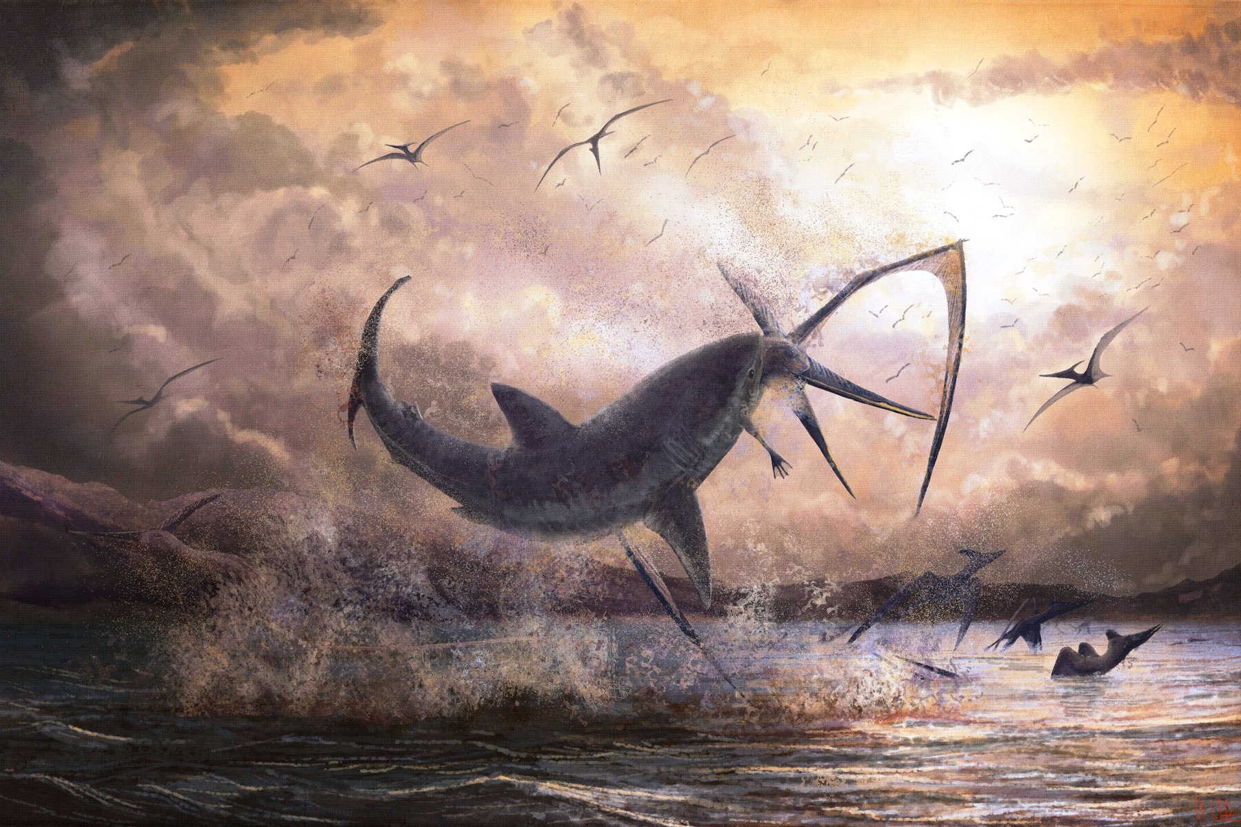 Reconstruction d'artiste montrant un requin de l'espèce éteinte Cretoxyrhina mantelli d'une longueur de 2,5 mètres mordant le cou d’un Pteranodon longiceps de 5 mètres d’envergure. © Mark Witton