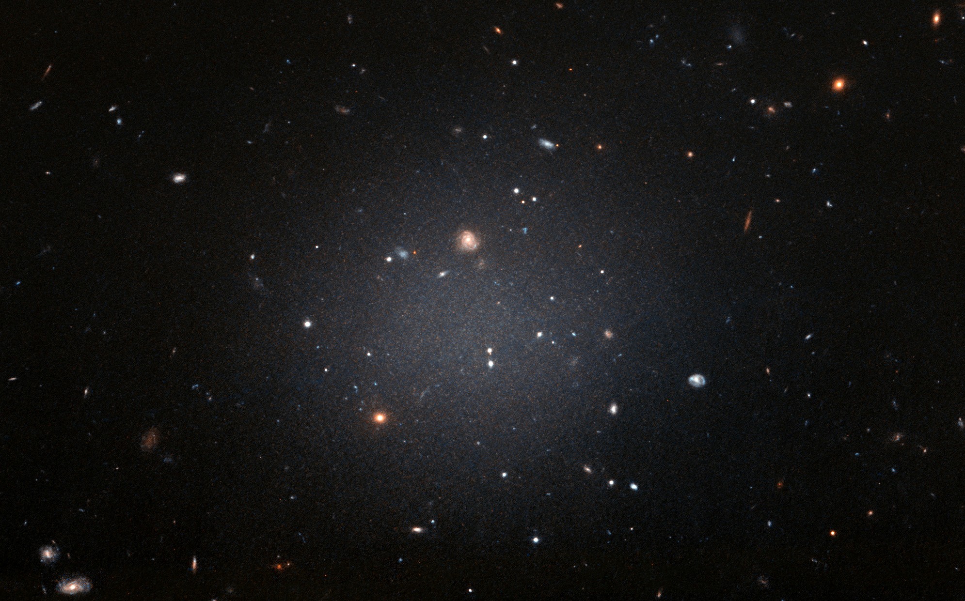 NGC 1052-DF2 réside dans le groupe dominé par une galaxie elliptique massive appelée NGC 1052. Cette grande galaxie à l'apparence floue est si diffuse que les astronomes peuvent voir clairement les galaxies lointaines derrière elle.&nbsp;Hubble a pris cette image le 16 novembre 2017 en utilisant son&nbsp;Advanced Camera for Surveys. © Nasa, ESA et P. van Dokkum (université de Yale)