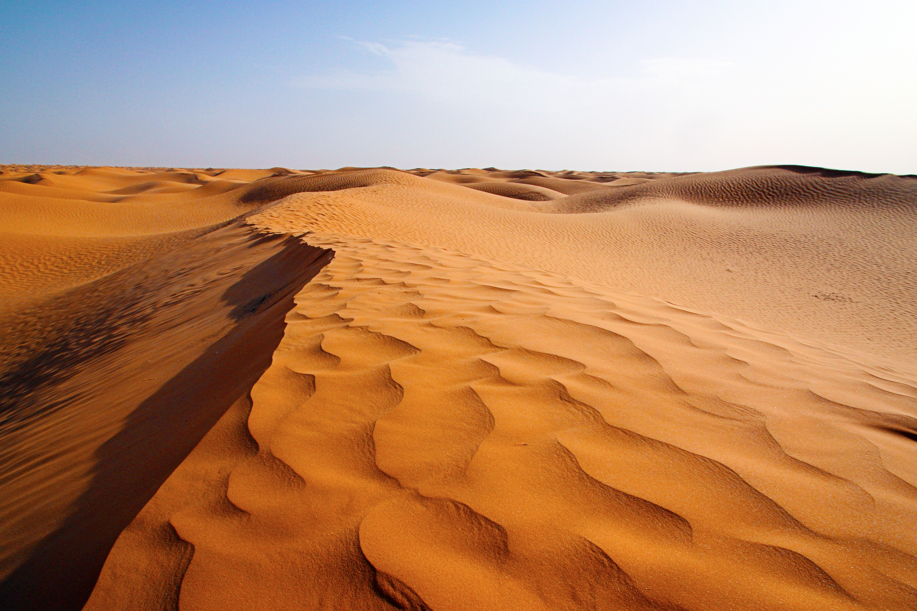La pollution est partout. Ici le désert du Sahara, dans le sud tunisien. © Phil_Good, Adobe Stock