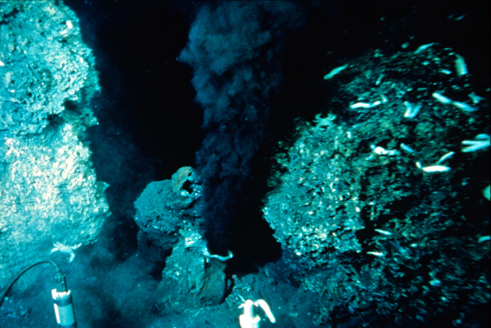 La couleur du fluide hydrothermal émis par les fumeurs noirs est principalement liée à sa forte teneur en fer et en manganèse. © USGS, Wikimedia Commons, DP