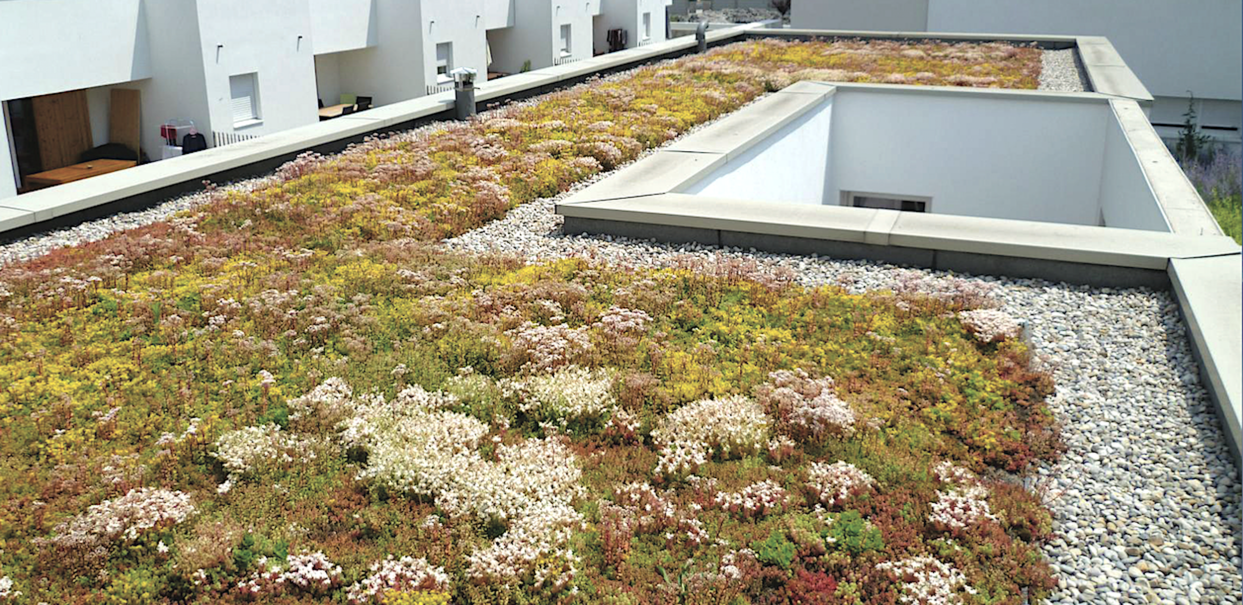 Ici, l'acrotère entoure une toiture en terrasse végétalisée. © Soprema