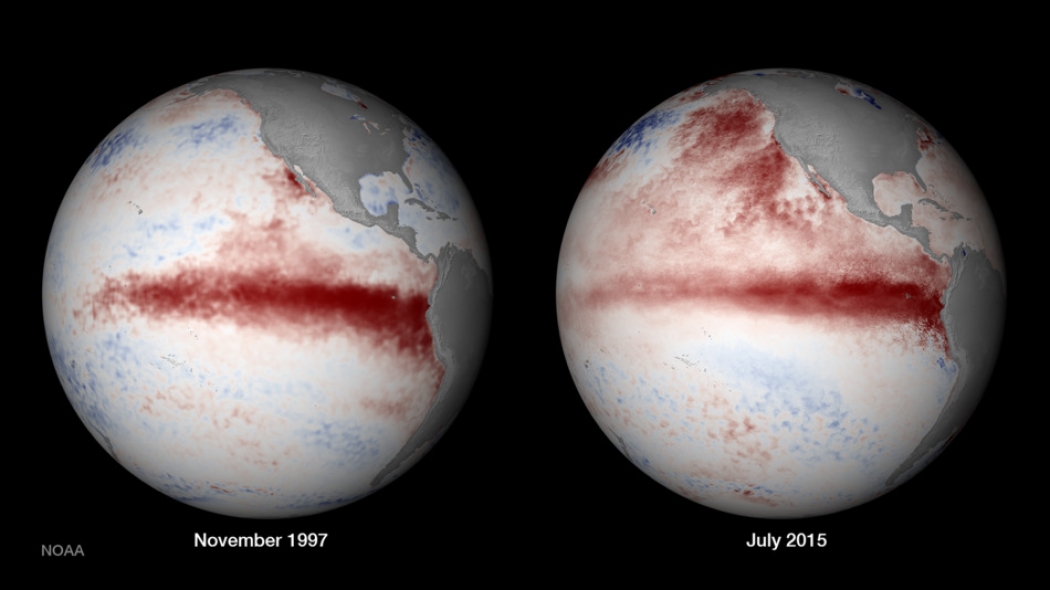 En 1997-1998, la planète a connu un épisode puissant d'El Niño. L'image de gauche montre les anomalies de température des eaux de surface de l'océan Pacifique (en rouge pour les eaux les plus chaudes) près de l'apogée du phénomène, en novembre 1997. Les températures relevées en juillet 2015 (à droite) montrent que l'événement El Niño pourrait atteindre la même ampleur. © NOAA