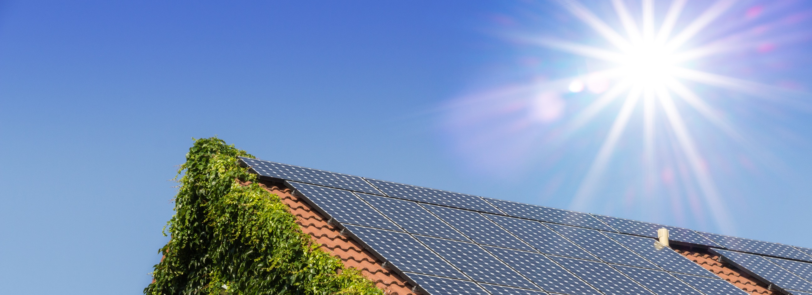 Pour profiter pleinement d'une énergie aussi abondante que le soleil, deux Suédois ont inventé de nouvelles cellules solaires à pigments photosensibles. Une innovation destinée pour le moment aux équipements électroniques auto-rechargeables mais qui, à terme, pourrait équiper les maisons et immeubles. © OFC Pictures, Adobe Stock 