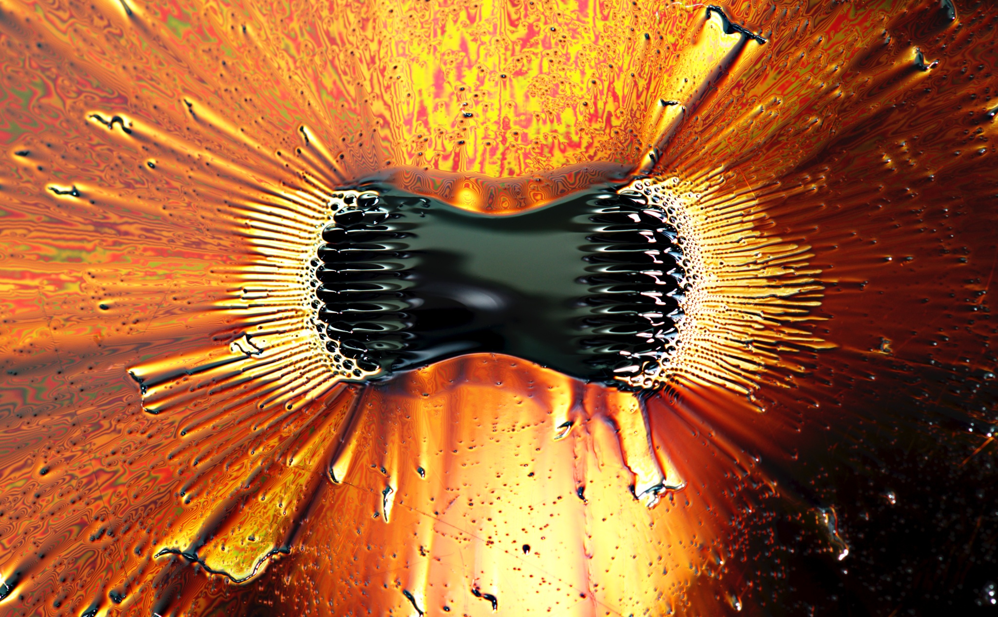 Ce fluide magnétique (ferrofluide) est déformé par un puissant aimant et s'accumule à ses pôles. © Gregory F. Maxwell, Wikimedia Commons