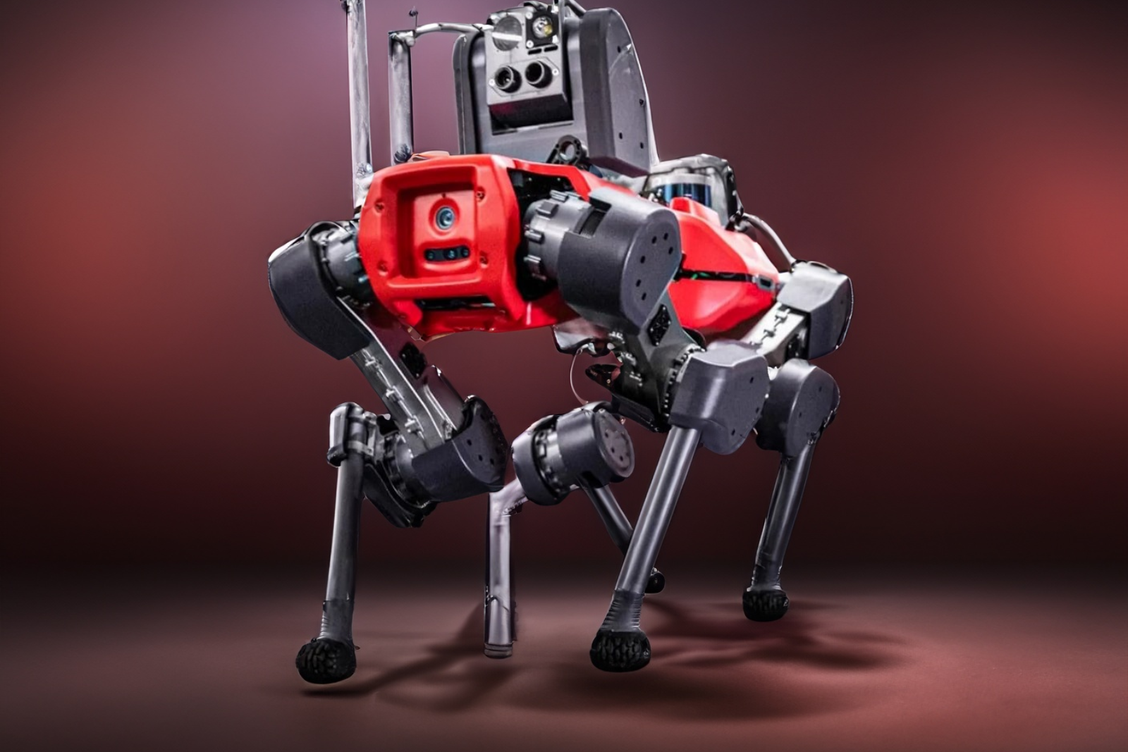 Le robot chien est peut être un robot chat. Photomontage réalisé à l'aide d'une IA. © ETH Zurich, Adobe Firefly, Futura