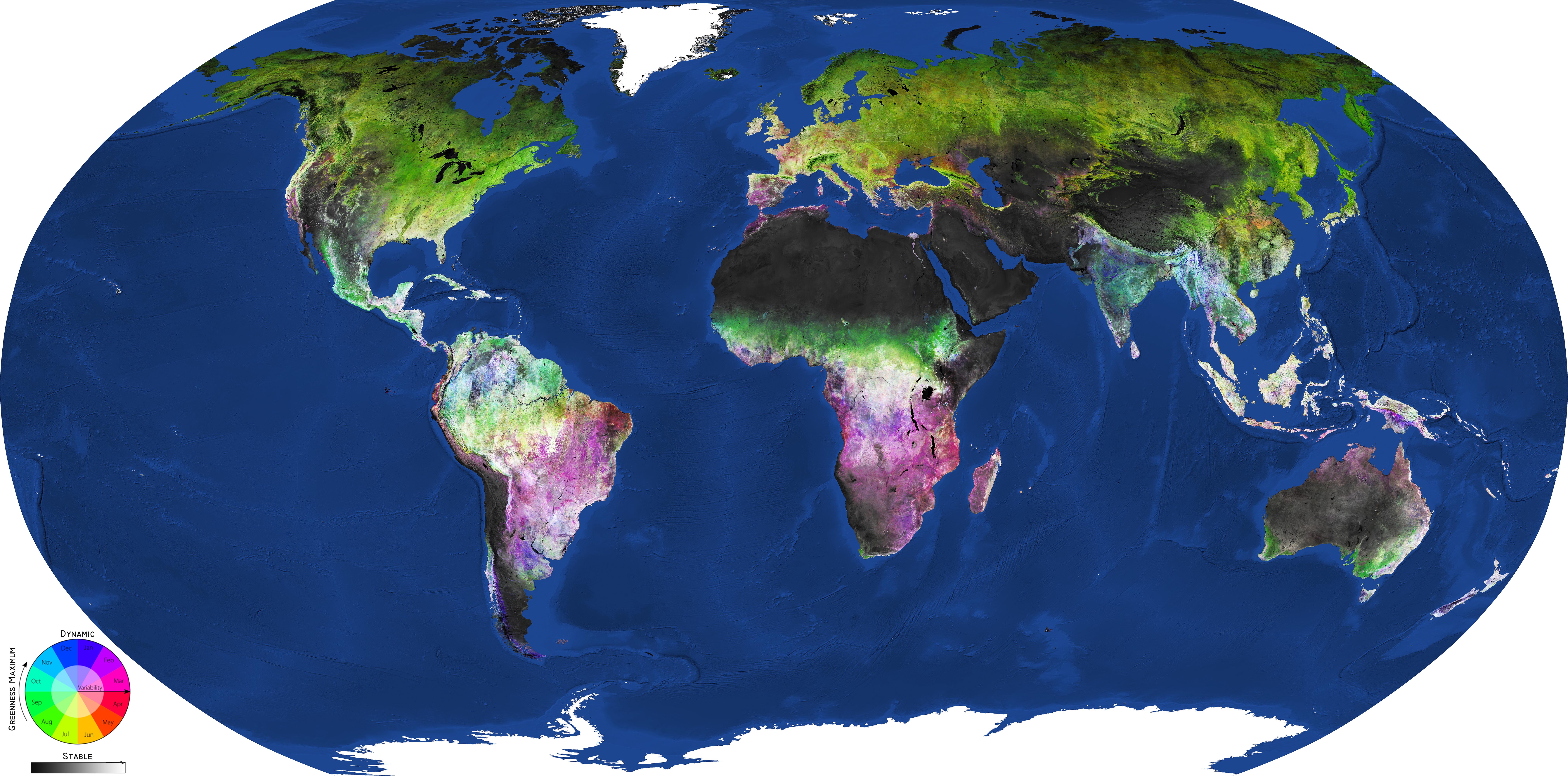 Carte globale de la couverture végétale globale générée par l'outil LandMonitoring.Earth de GeoVille à partir des images du satellite d'observation de la Terre Sentinel-2 de l'ESA, prises entre 2016 et 2018. Cercle chromatique : saison, plus précisément mois, correspondant au pic (maximum) de végétation (couleurs) et densité de la végétation (transparent pour les prairies, opaque pour les forêts). Niveau de gris : échelle de la biomasse, avec les zones les plus riches en biomasses en blanc et les plus pauvres en noir. © Modified Copernicus Sentinel data (2016–2018), processed by GeoVille