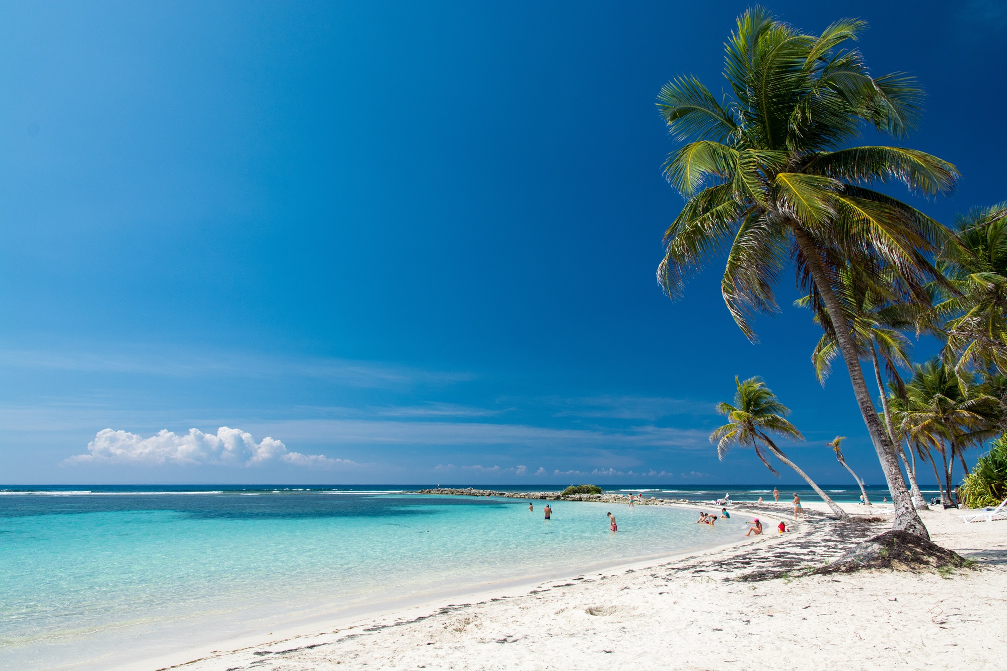 Partir en Guadeloupe pour profiter des plages paradisiaques et des eaux bleu turquoise. ©Sébastien KOMARNICKI, Adobe.