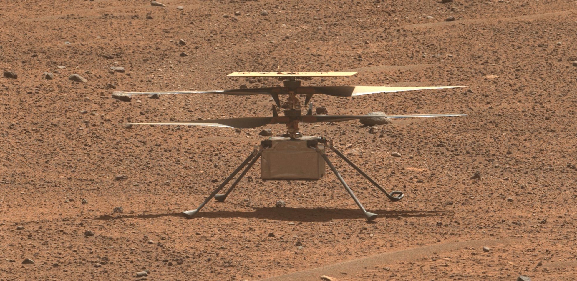 Ingenuity sur le sol de Mars photographié par Perseverance le 2 août 2023, la veille de son vol 54. © Nasa, JPL-Caltech, ASU, MSSS