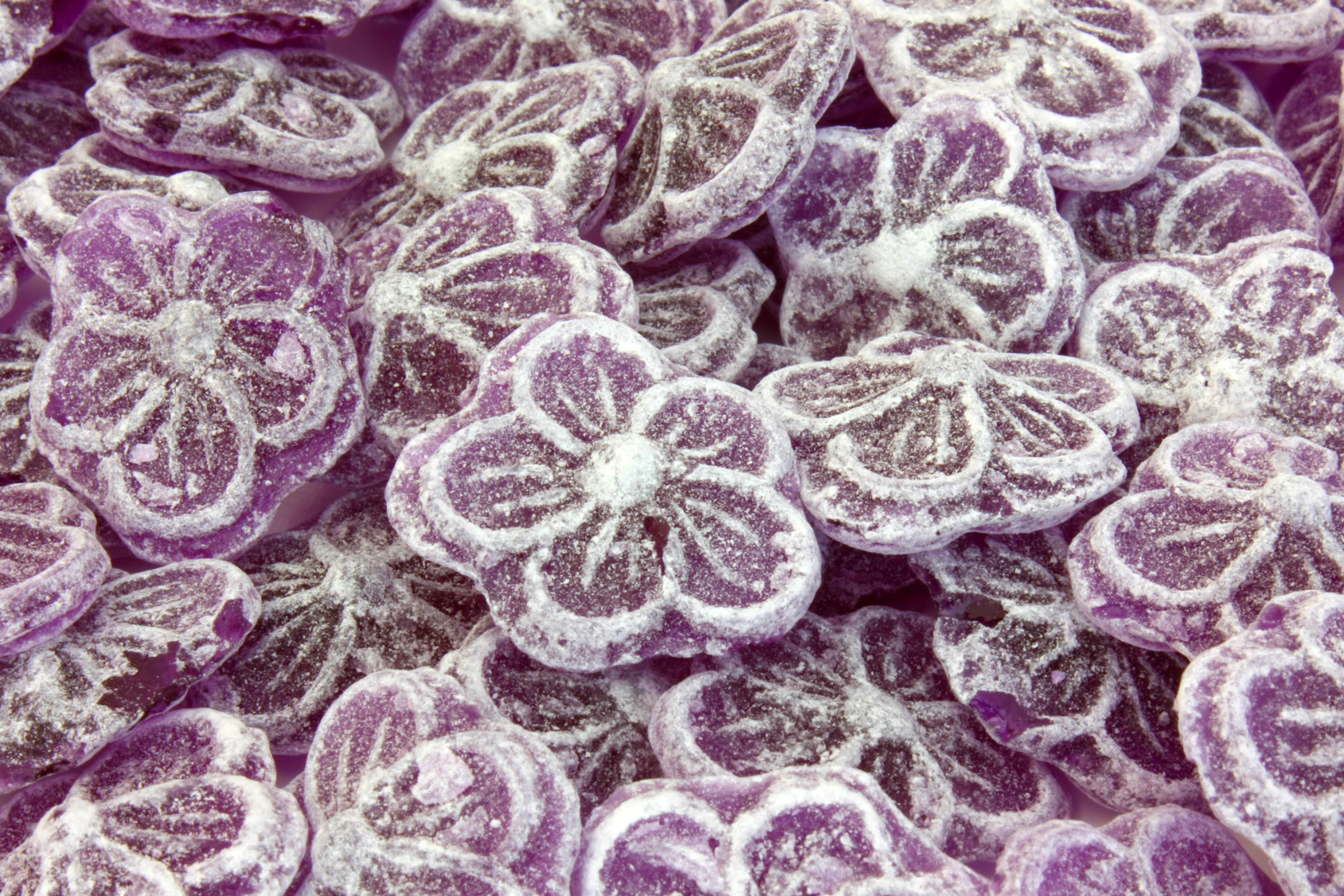 La violette de Toulouse est aussi connue en tant que bonbon. © Brat Pict, Fotolia