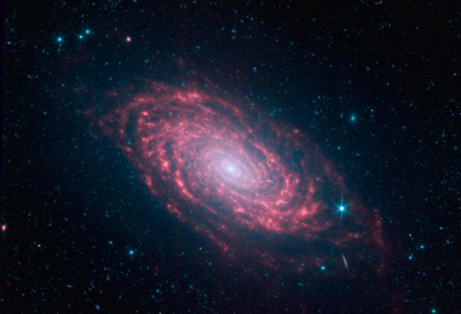 M63, ou galaxie du Tournesol, a été découverte en 1779 par Pierre Méchain, et classée la même année par Charles Messier dans son catalogue. Sa structure en forme de spirale a été découverte par Lord Ross au milieu du XIXe, elle fut une des premières de ce type à être identifiée comme telle. On la voit ici en infrarouge dans les données de Spitzer. Messier 63 est à 37 millions d'années-lumière de la Voie lactée. © Nasa, JPL-Caltech