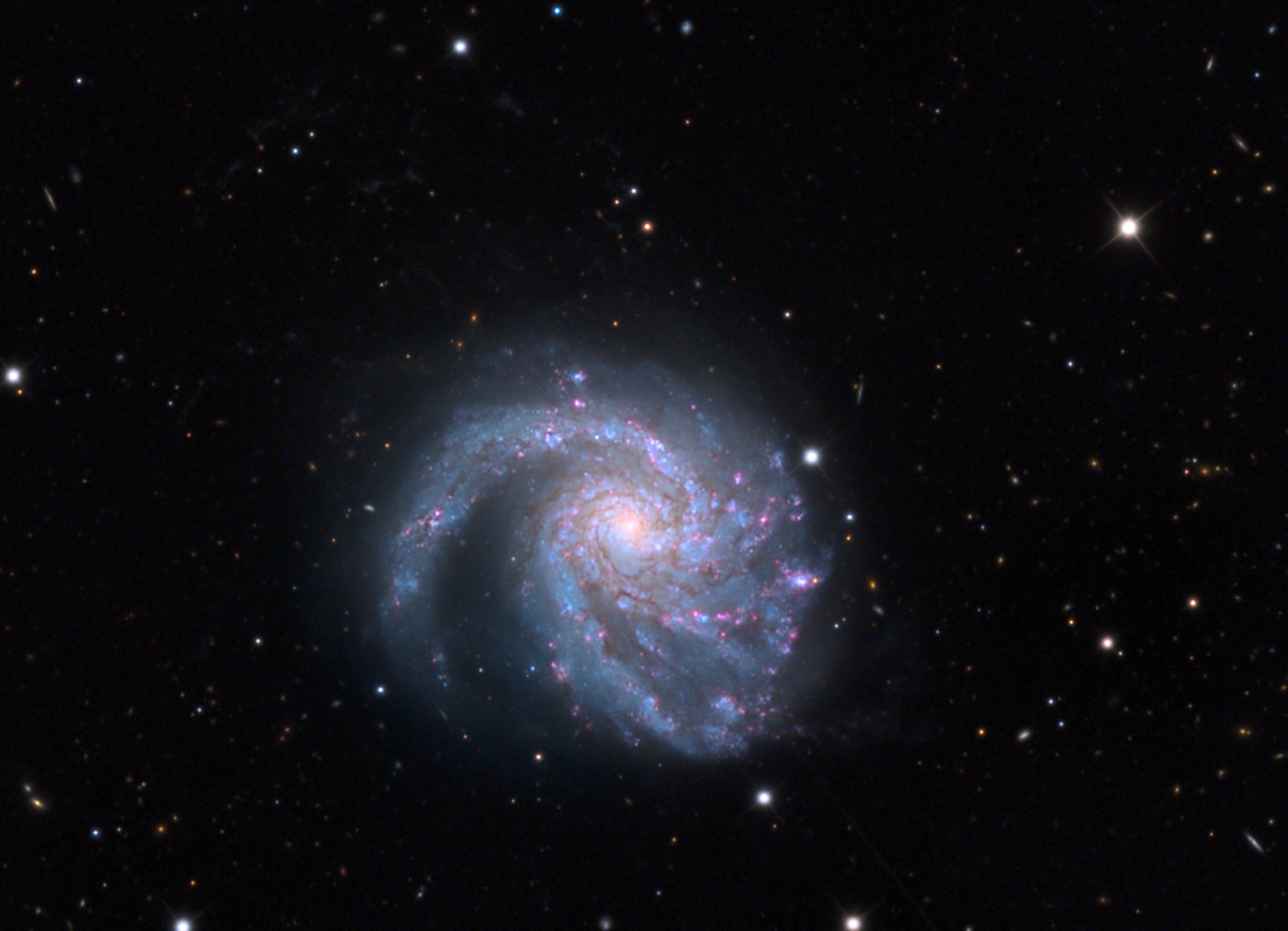 Une galaxie de l'Amas de la Vierge, Messier 99. © Adam Block, Mount Lemmon SkyCenter, University of Arizona