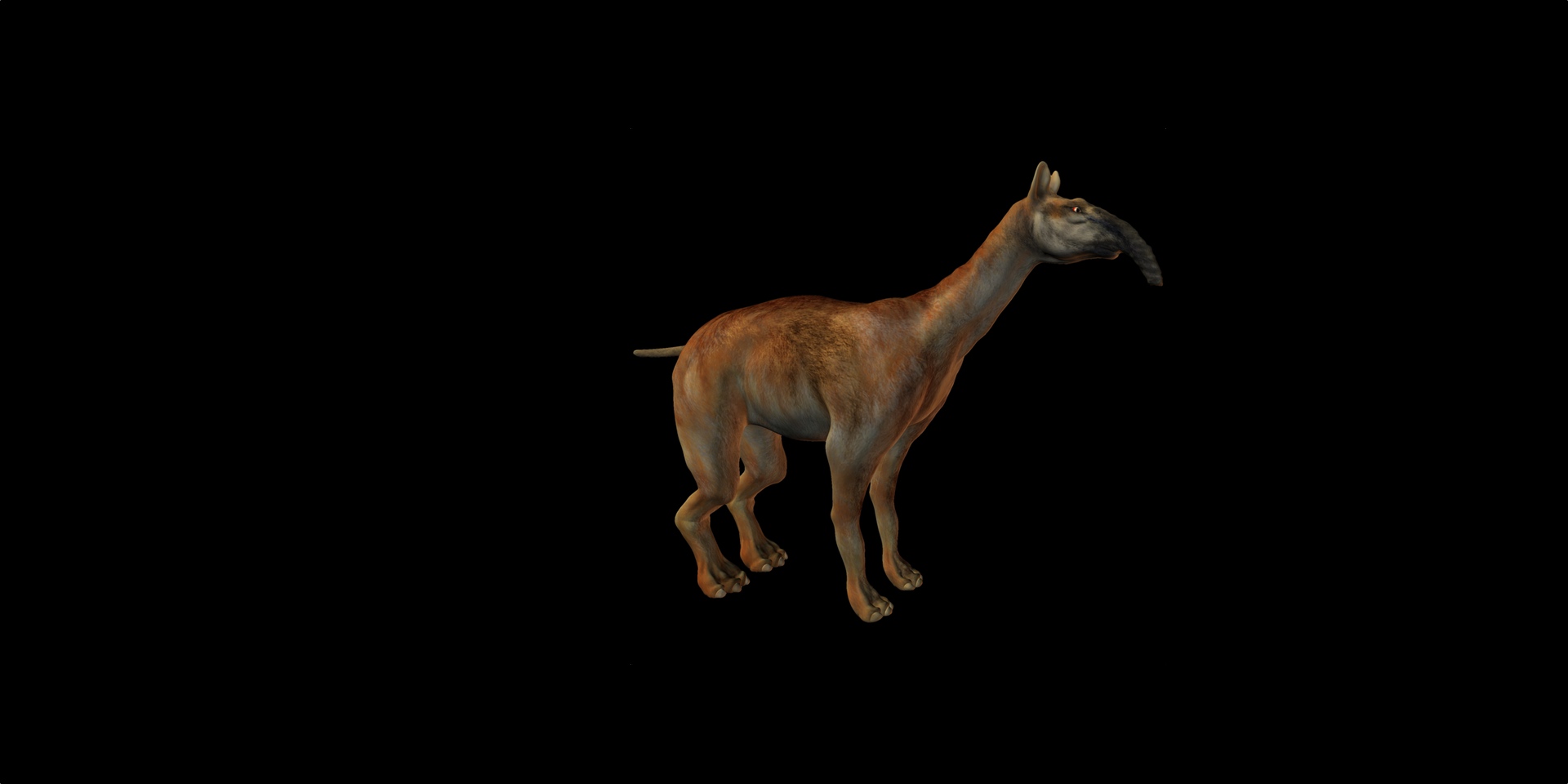 Le&nbsp;Macrauchenia patachonica&nbsp;avait un long cou qui, bien qu'il évoque&nbsp;la girafe, n'en était pas un cousin proche. © Andreas Meyer, fotolia