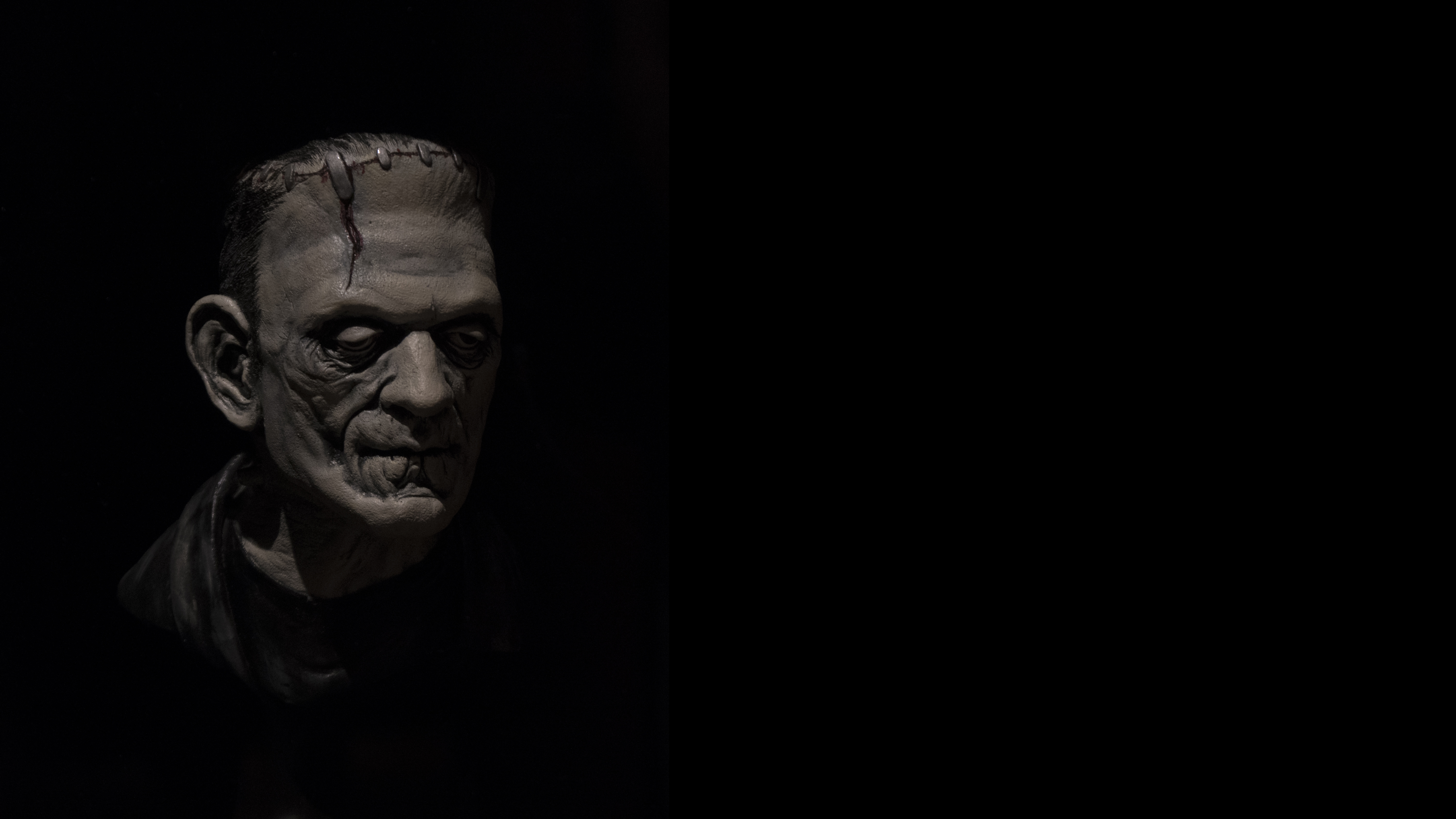 Rejetée par tous, la créature de Frankenstein se retrouve seule.&nbsp;©&nbsp;Ivan, Adobe Stock