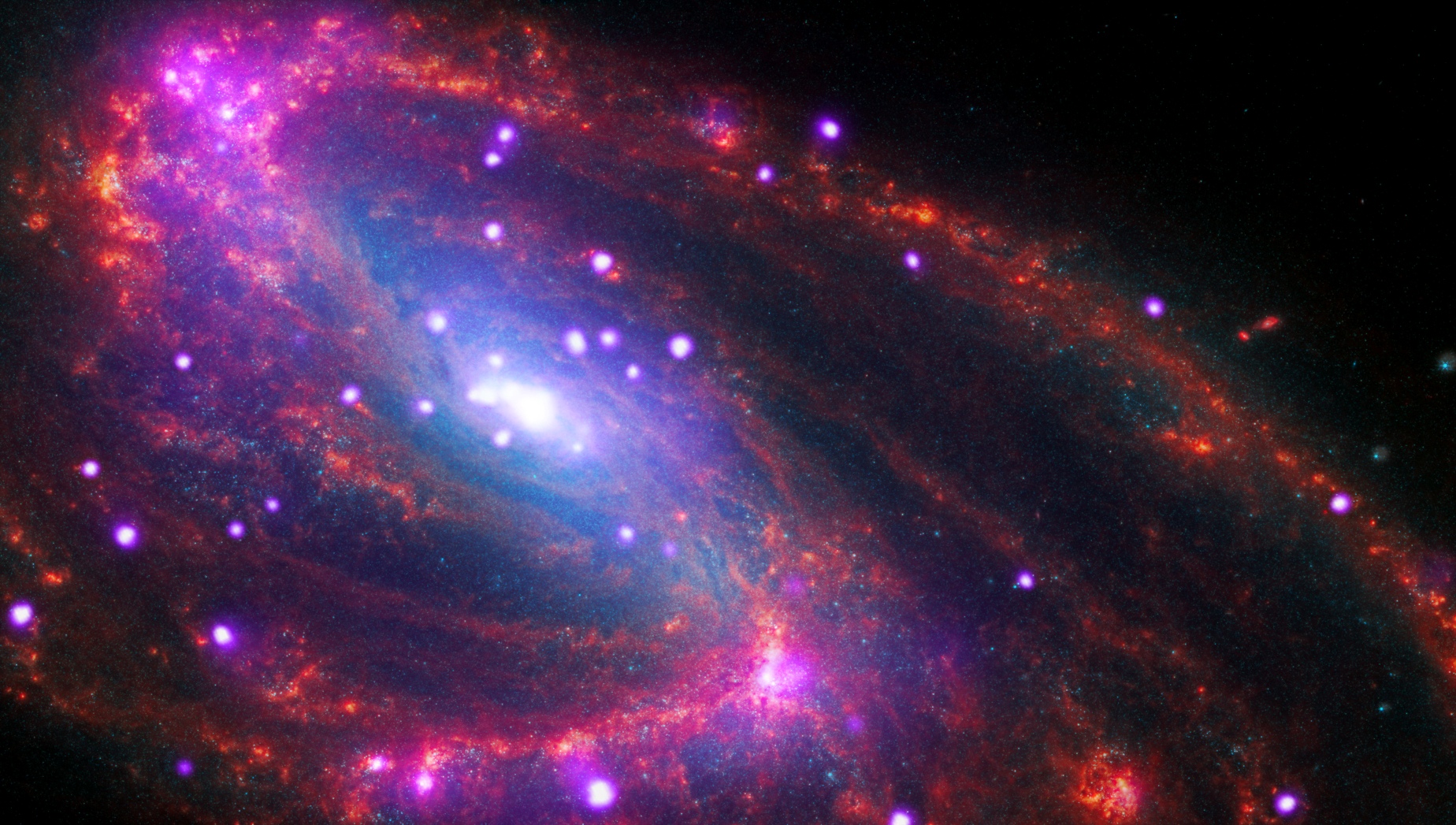 Seulement à quelque 36 millions d’années-lumière de la Voie lactée, NGC 3627 est une galaxie spirale que l’on voit sous un léger angle. NGC 3627 est connue comme une galaxie spirale « barrée » en raison de la forme rectangulaire de sa région centrale. De notre point d’observation, nous pouvons également voir deux bras spiraux distincts qui apparaissent sous forme d’arcs. Les rayons X de Chandra en violet montrent la présence d'un trou noir supermassif en son centre ainsi que d'autres objets denses comme des étoiles à neutrons et des trous noirs attirant la matière. Pendant ce temps, Webb révèle en infrarouge (infrared en anglais) la poussière, le gaz et les étoiles dans toute la galaxie en rouge, vert et bleu. Cette image contient également des données dans le visible (optical en anglais) du télescope spatial Hubble de la Nasa en rouge, vert et bleu. © X-ray: NASA/CXC/SAO; Optical: NASA/ESO/STScI, ESO/WFI; Infrared: NASA/ESA/CSA/STScI/JWST; Image Processing: NASA/CXC/SAO/J. Major