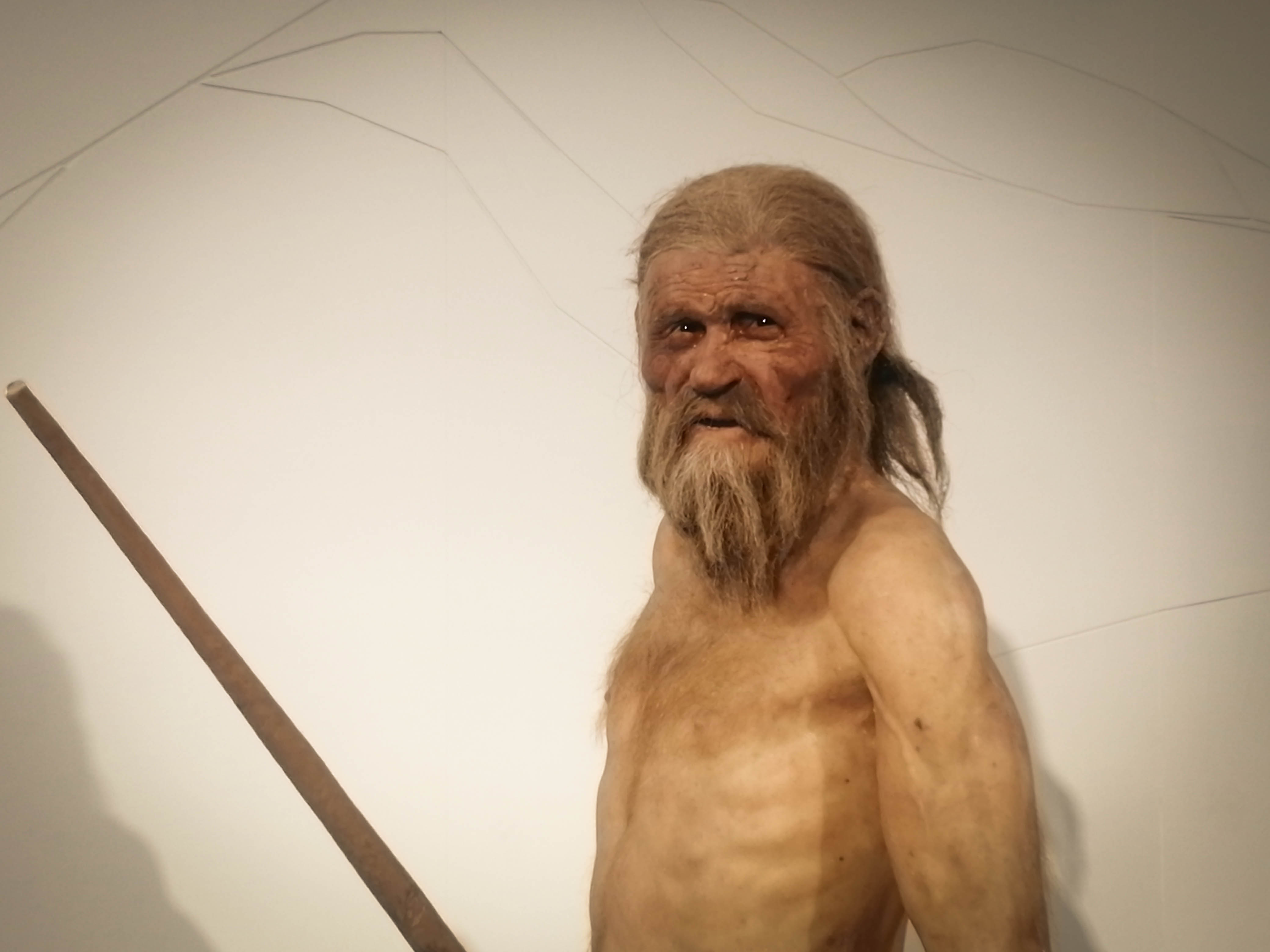 Reconstitution d'Ötzi présentée au Musée archéologique du Sud Tyrol, à Bolzano, en Italie. © Juliette Cazes