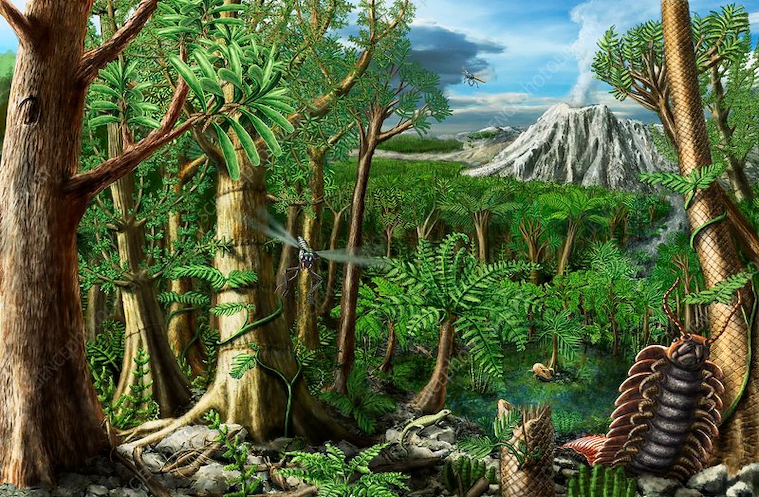 Le Permien est une période géologique qui s'étend d'il y a environ 300 à 250 millions d'années avant notre ère. © Stefan Shiessl, Science Photo Library