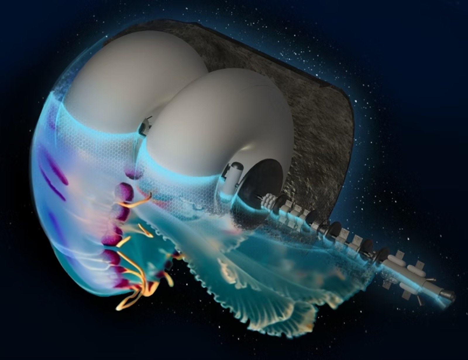 Image du site Futura Sciences
