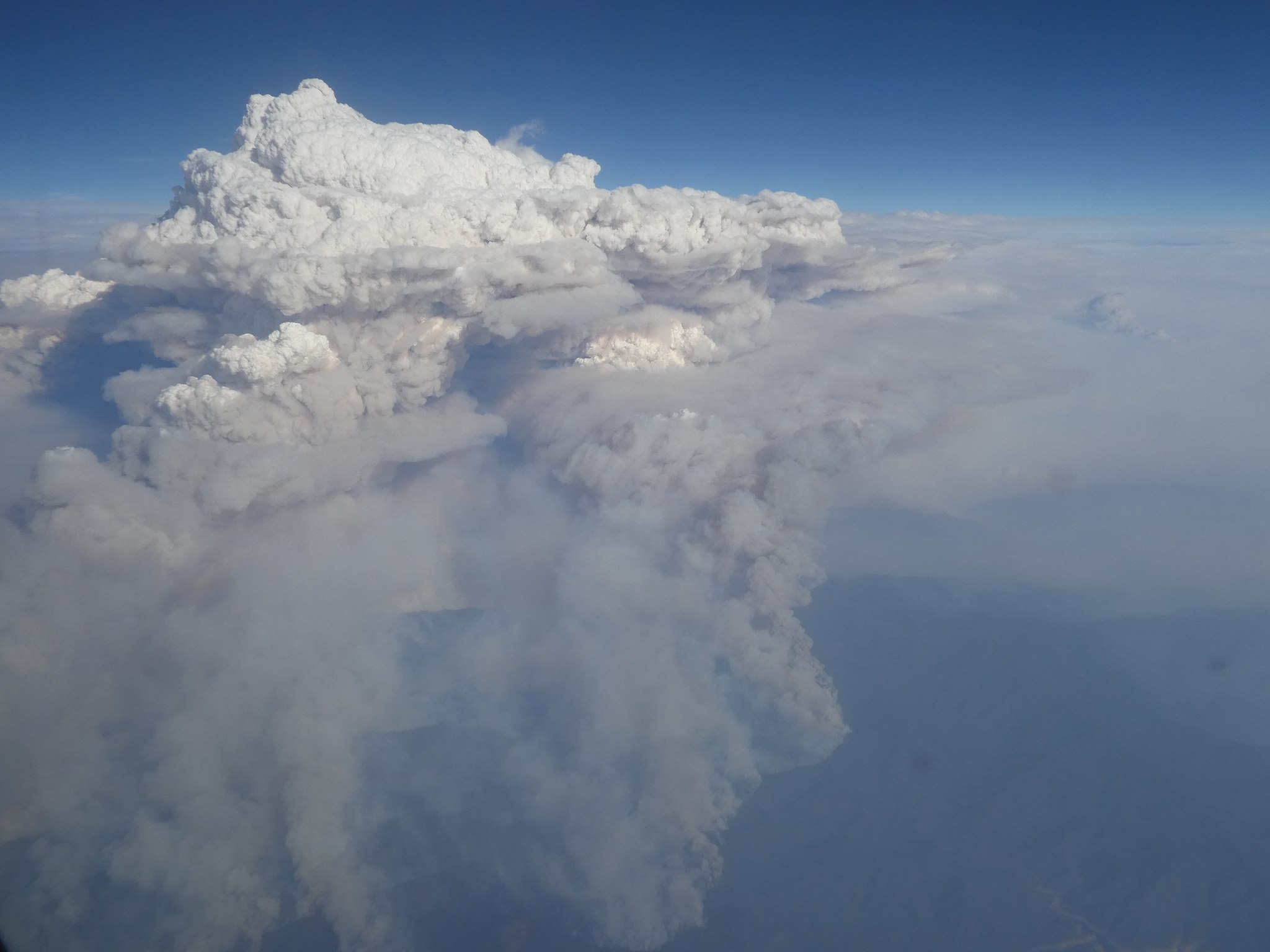 Un pyrocumulonimbus photographié au-dessus de Victoria durant les incendies en Australie, début 2020. © CC by-sa 4.O