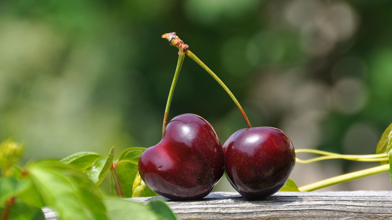 Gros Plan De La Photographie D'un Fruit Cerise Rouge © Pixabay / Pexels