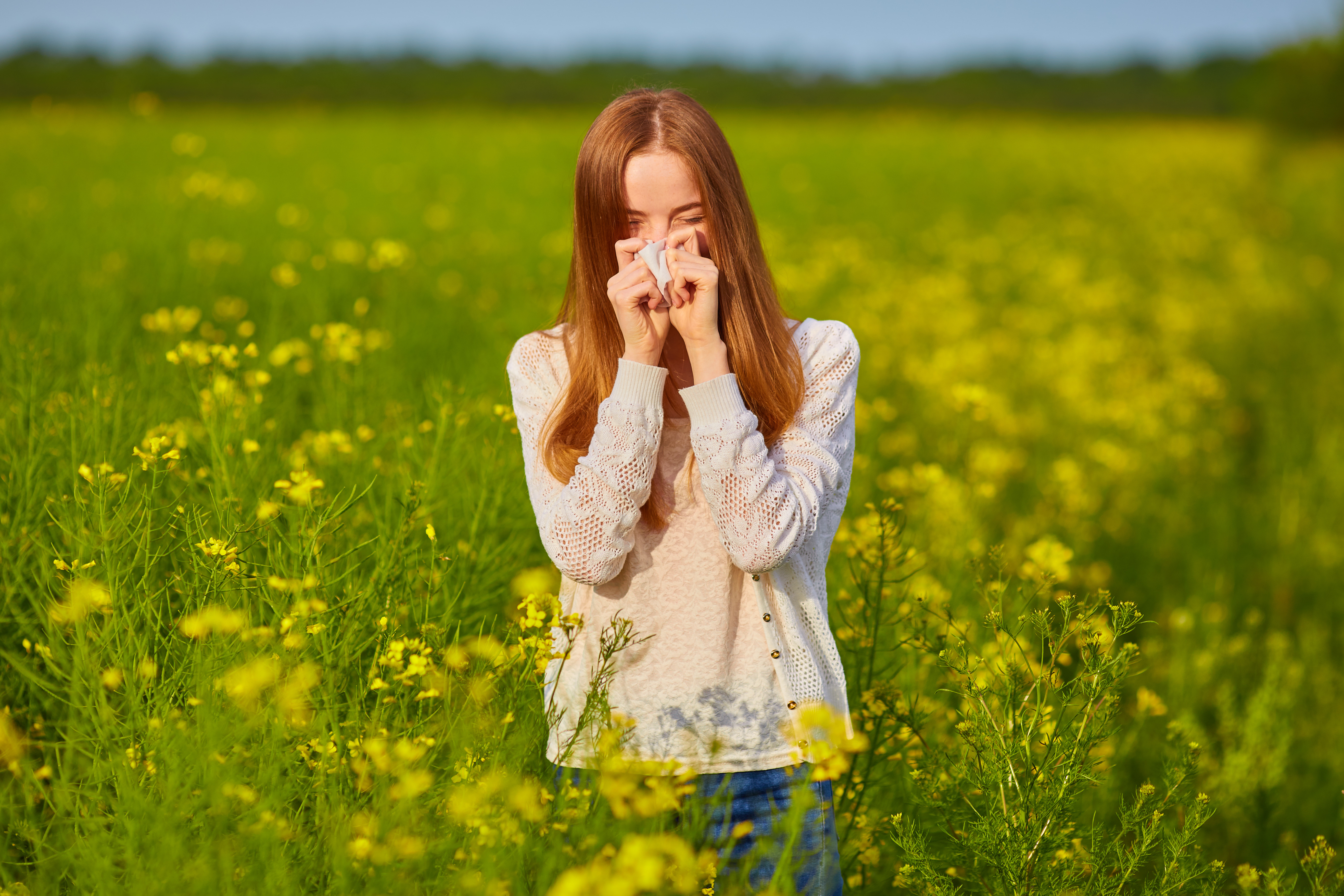 Printemps et été : deux saisons redoutées par les personnes allergiques. © Saharrr, Adobe Stock
