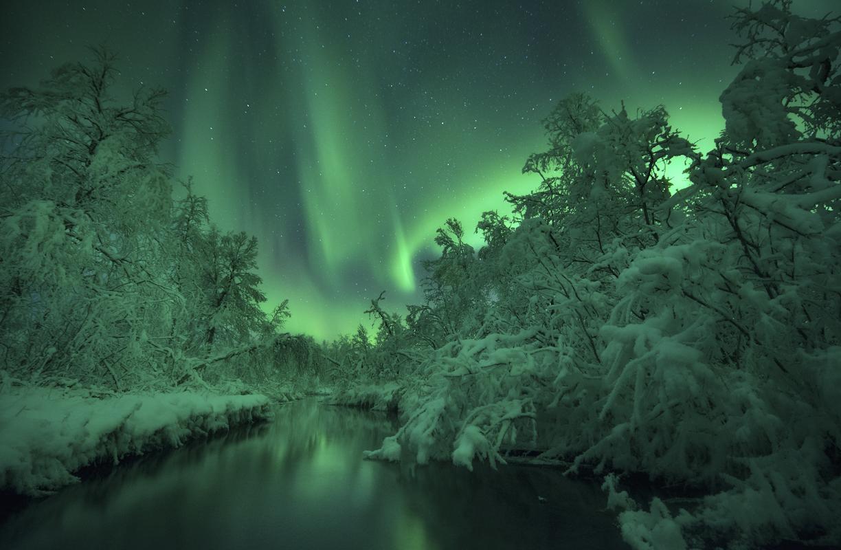 Sublimes aurores au bord de la rivière Lomaas, en Norvège