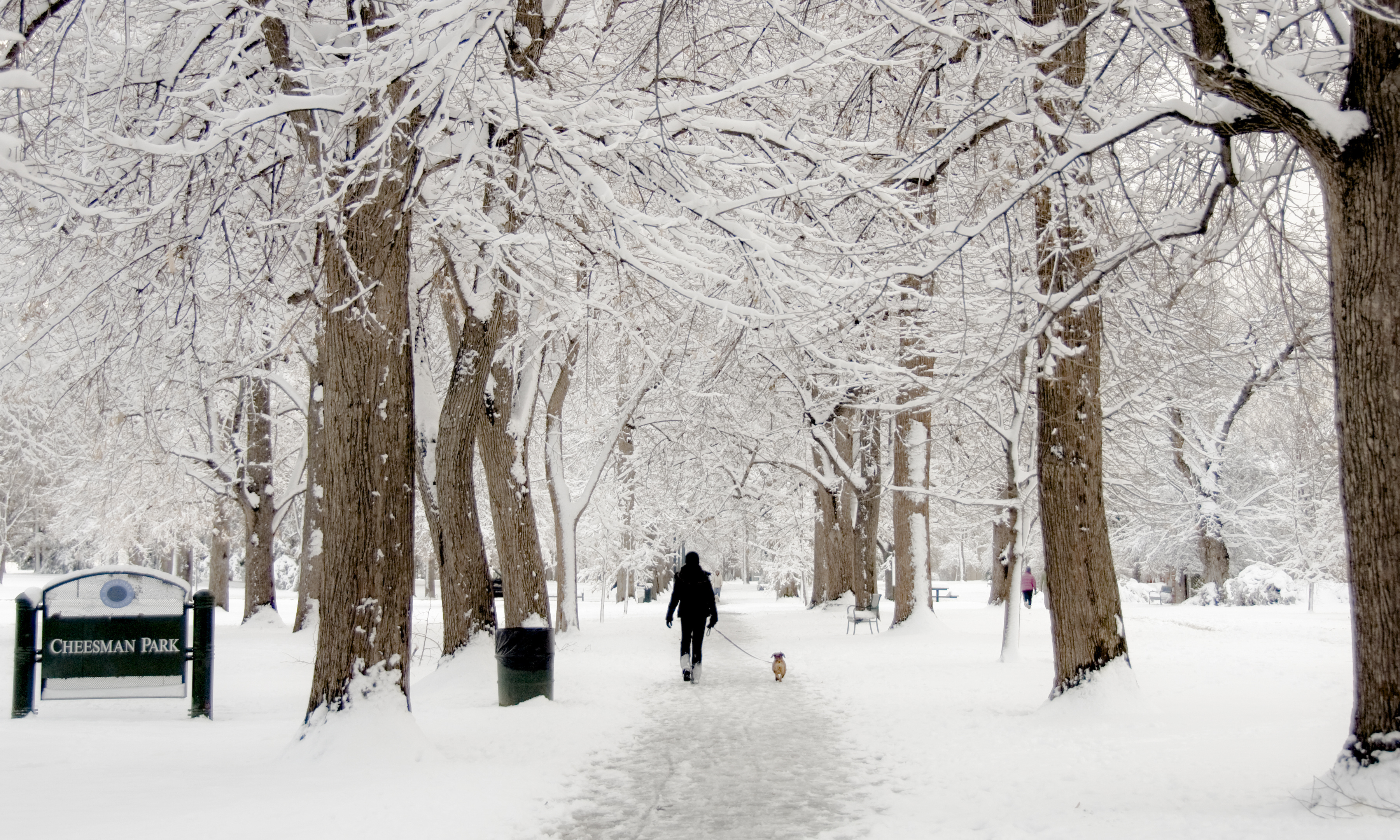 En quelques jours, la ville de Denver est passée d'une vague de chaleur à une vague de froid. © Kim, Adobe Stock