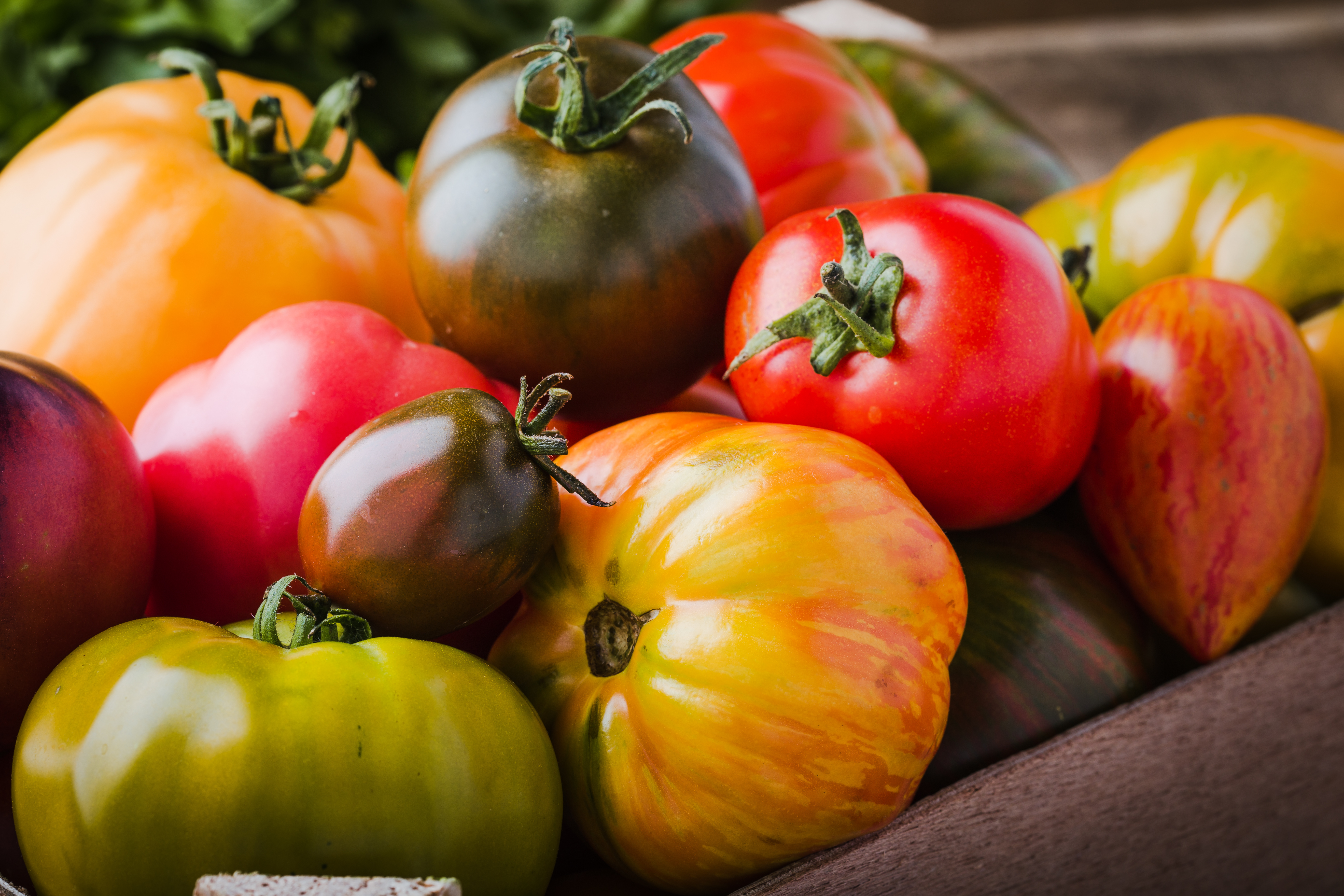 L'Agence de sécurité sanitaire met en garde contre un nouveau virus attaquant les tomates, mais aussi les poivrons et les piments. Une première exploitation dans le Finistère vient d'être déclarée contaminée. © istetiana, Adobe Stock
