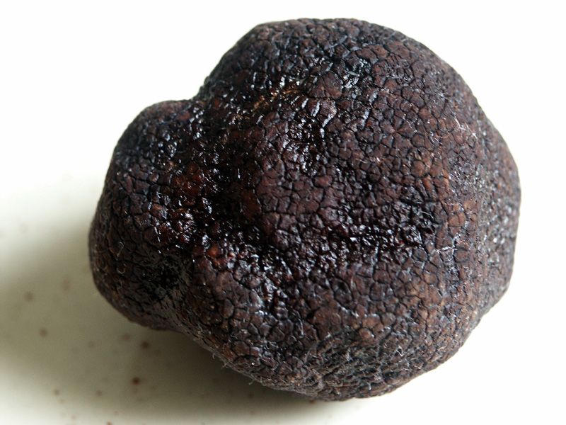 Cette truffe noire du Périgord est un produit de luxe en cuisine. © Wikimedia Commons, DP