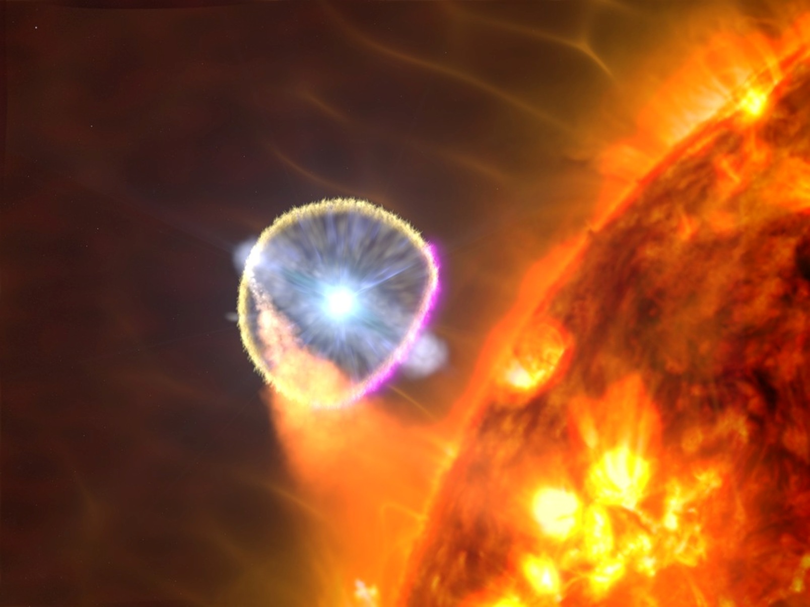 L'étoile naine blanche du V407 Cygni, illustrée ici dans le concept d'un artiste, est devenue nova en 2010. Les scientifiques pensent que l'explosion a principalement émis des rayons gamma (magenta) lorsque l'onde de souffle a traversé l'environnement riche en gaz près de l'étoile géante rouge du système. © Goddard Space Flight Center / S de la NASA. Wiessinger