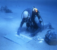 À la découverte des paysages sous-marins de Provence, des sites de plongée exceptionnels. © Laurent Cadeau GNU Free Documentation License version 1.2 