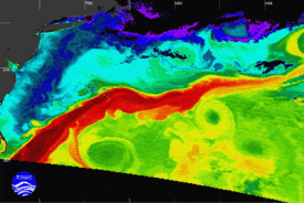 Le Gulf Stream transporte les&nbsp;masses d'eau chaude&nbsp;de Floride en suivant la côte est des États-Unis. Refroidies, elles dérivent vers le nord-est du bassin pour plonger en profondeur au Groenland, c'est la&nbsp;dérive nord-atlantique.&nbsp;© &nbsp;NOAA
