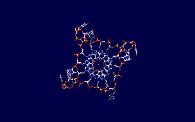 Une représentation, obtenue par cristallographie à rayons X, de quatre brins d'ADN (vus de dessus, en quelque sorte) fixés aux quatre coins d'une structure G-quadruplexe. © Jean-Paul Rodriguez