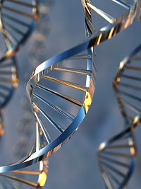 Le séquençage de l'ADN humain est désormais possible, et ce de plus en plus rapidement ! © IRH, Unicef