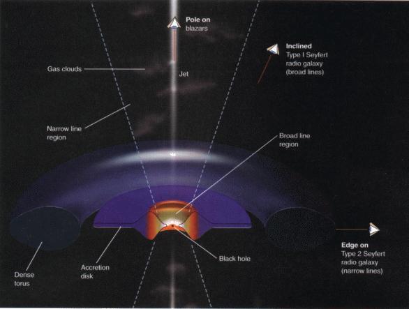 La structure d'un quasar avec le disque d'accrétion (disk) entouré d'un tore (torus). Crédit : Prof. H. E. (Gene) Smith