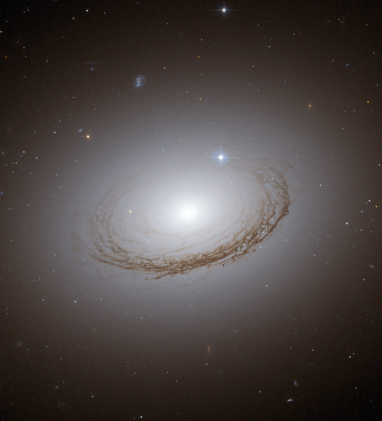 La belle NGC 7049, à cent millions d'années-lumière de notre galaxie. Crédit : Nasa, Esa et W.Harris (McMaster University, Ontario, Canada)