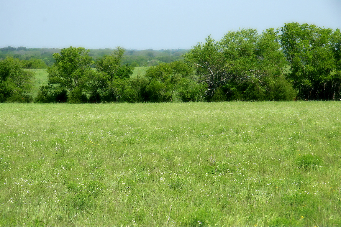 Les échantillons de sols ont été prélevés dans la Blackland Prairie au Texas. Les trois types de sols recouvrent près de 38 % de la surface des États-Unis. Il est donc crucial de comprendre le rôle qu'ils jouent sur la croissance des végétaux face à un enrichissement en gaz carbonique de notre atmosphère. © Mathornature photography, Flickr, CC by 2.0