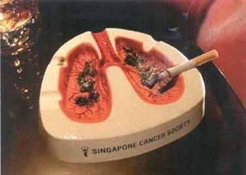 Source image : Singapore Cancer Society (Commons)