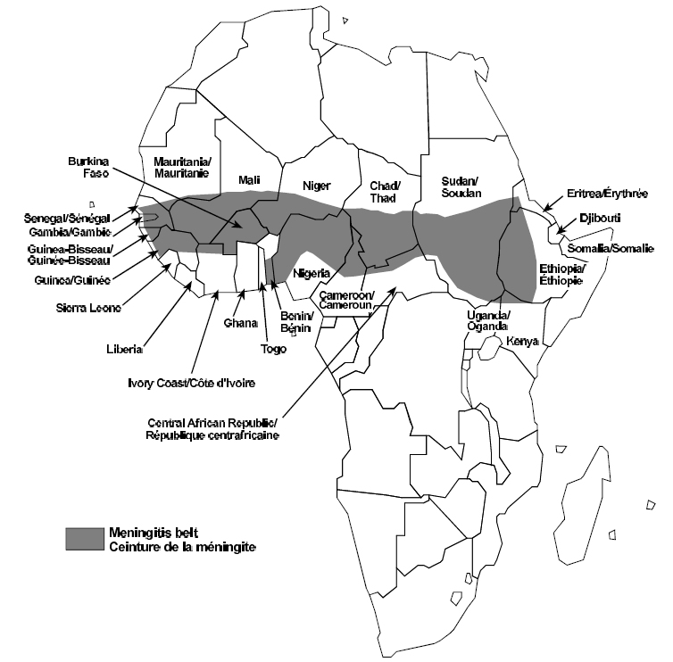 On appelle Ceinture de la méningite un ensemble de pays africains, de la Gambie à l'ouest de l'Ethiopie, situés peu ou prou sur l'équateur. En périodes d'épidémie, les taux d'infection y atteignent 800 cas pour 10.000 habitants, avec une mortalité pouvant dépasser 10%. © OMS/1998