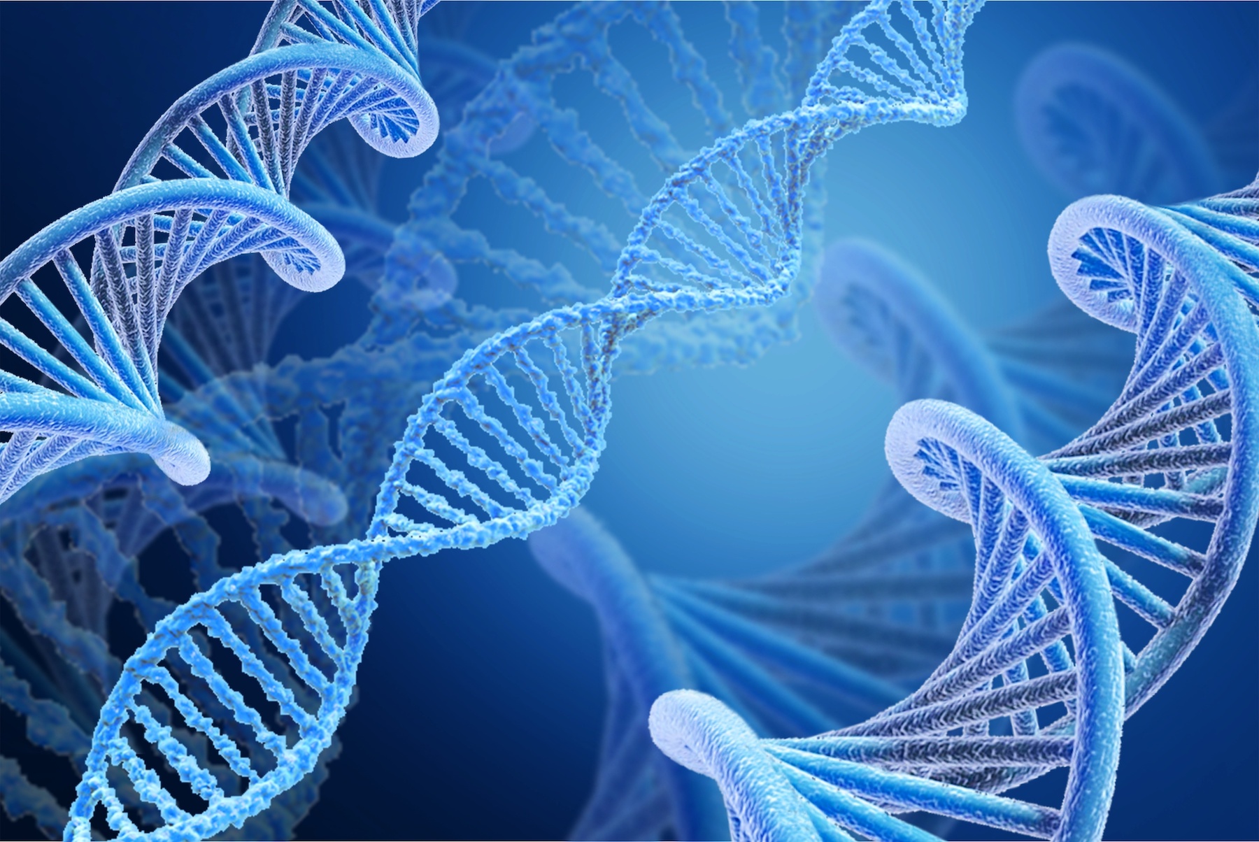 Certains virus bactériophages utilisent un code génétique différent du nôtre. © BillionPhotos.com, Adobe Stock