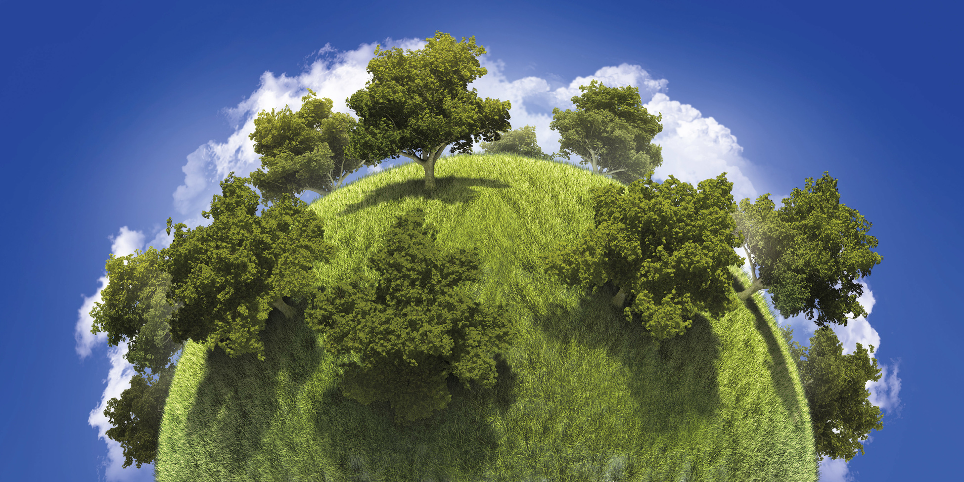 La Terre pourrait accueillir 1.000 milliards d’arbres supplémentaires. © kongvector, Fotolia