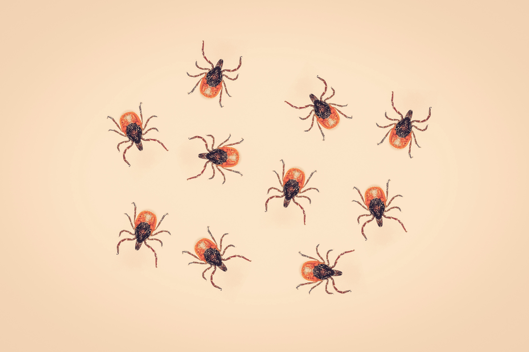 L’épidémie de Lyme est-elle due à une expérimentation d’arme biologique aux États-unis ? © Polarpx, Fotolia