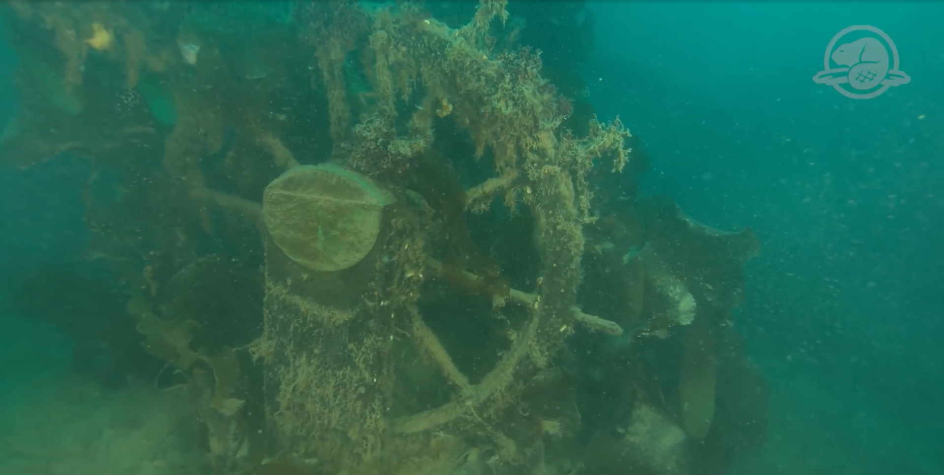 La roue du navire HMS Terror trône intact au fond de l’eau froide. © capture YouTube, Parcs Canada