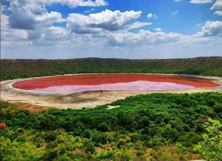Le lac de Lonar s’est subitement coloré en rose sous l’effet de la salinité et des algues. © Lonar Crater, Twitter