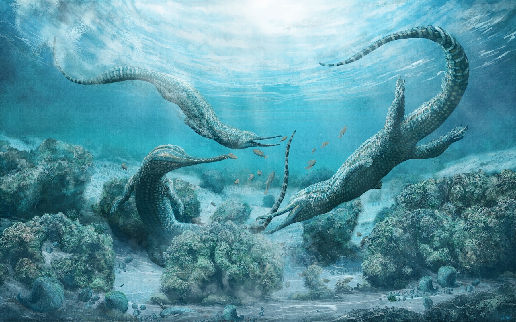 Malgré leur ressemblance avec les crocodiles, les phytosaures n'en sont que de lointains cousins. © Mark Witton